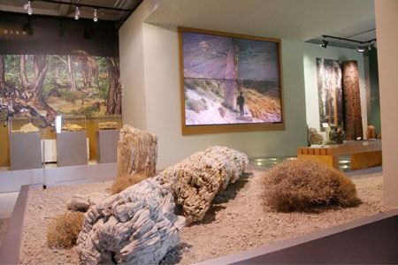 Midilli Fosil Müzesi