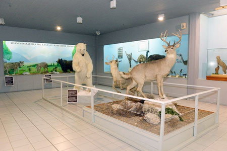 Samos Doğal Tarih Müzesi